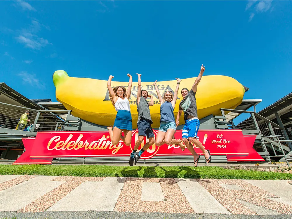 australian beach netball coffs harbour